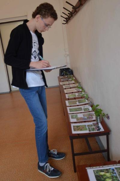 Okresní kolo 52. ročníku Biologické olympiády kategorie C, Poznávání přírodnin, 23. 4. 2018 (foto Monika Hlosková) (8)